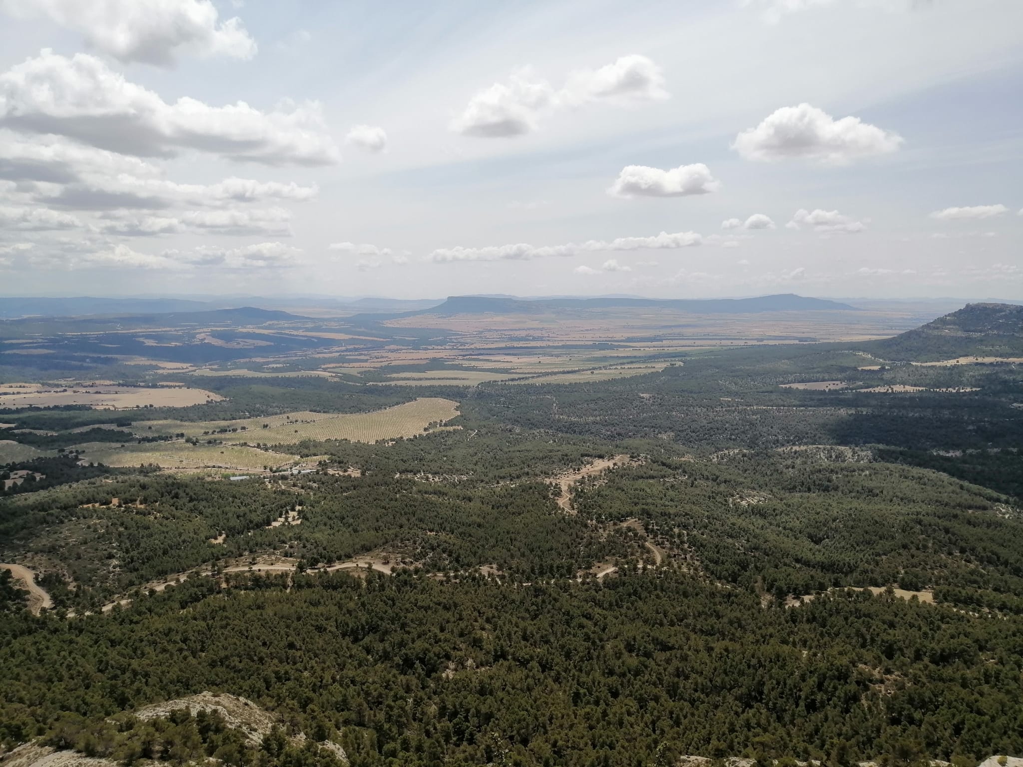Zona afectada per les futures macroplantes a la Vall d'Aiora