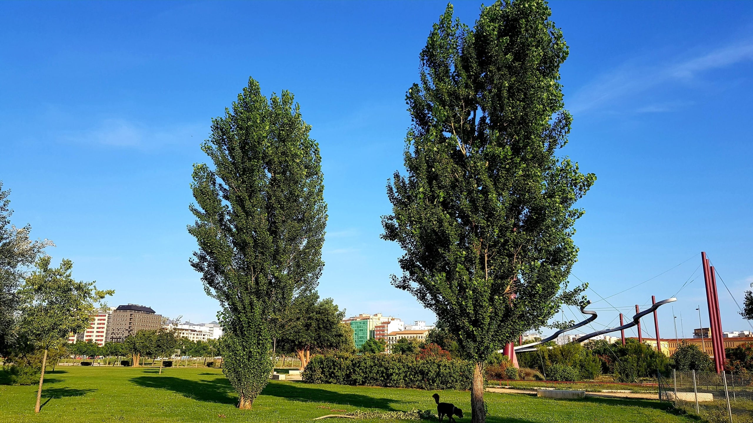 Parc dels furs d'Alzira (Ribera Alta), punt des del qual partirà la marxa aquest diumenge