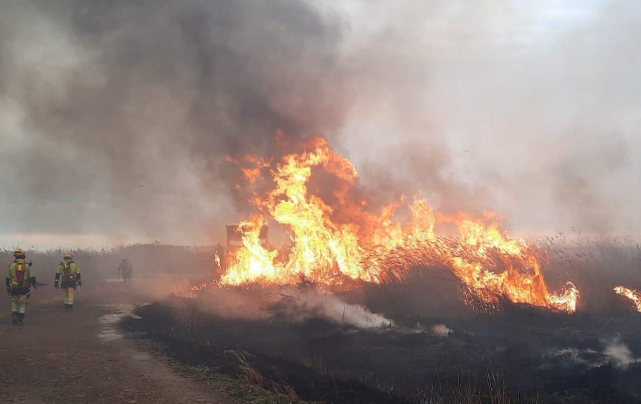 Incendi a la Marjal de Moro de Sagunt