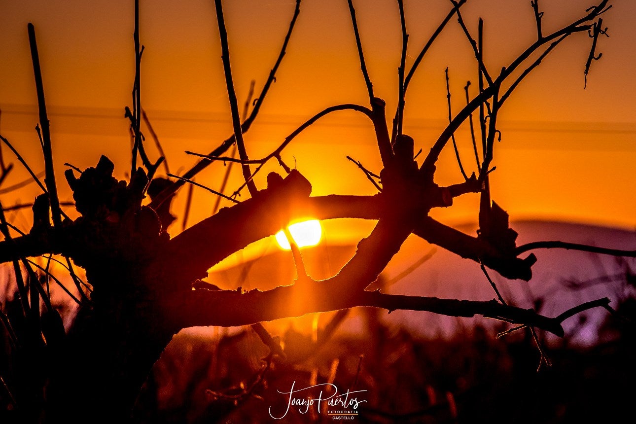 Posta de sol - Joanjo Puertos