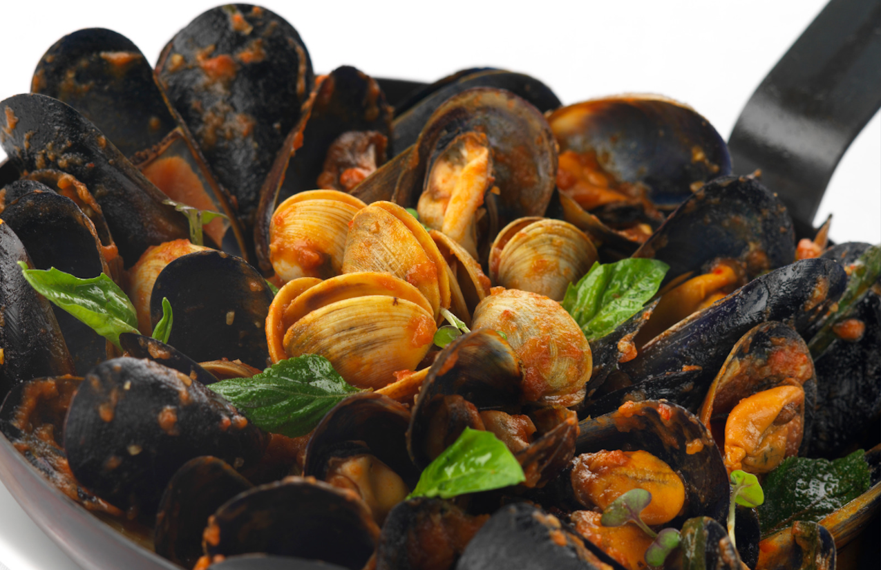 Musclos i cloïsses