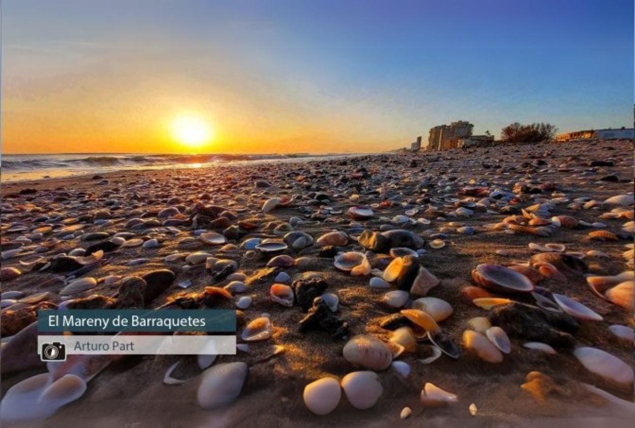 El Mareny de Barraquetes - Arturo Part