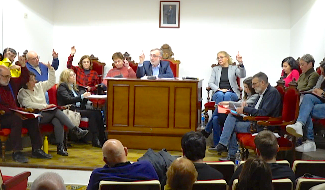 El ple de l'Ajuntament de  l'Alcúdia vota a favor del valencià