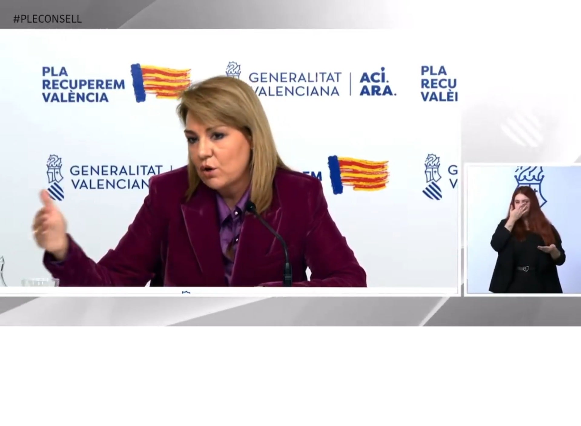 La vicepresidenta Susana Camarero en roda de premsa | EP