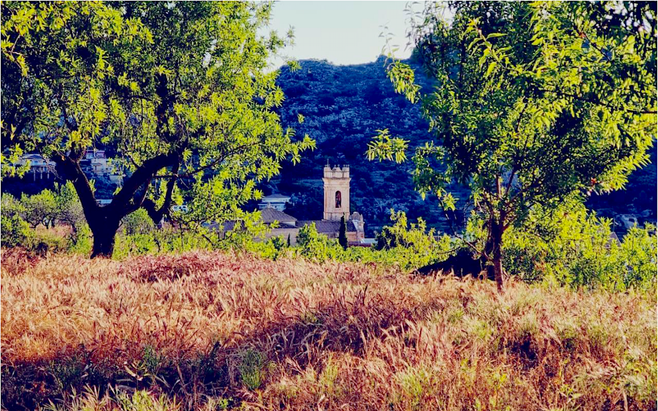 Ametlers, el campanar de Tàrbena i, al fons, la muntanya de Sa Caseta des Moros | 
Patri Signes Ripoll 
