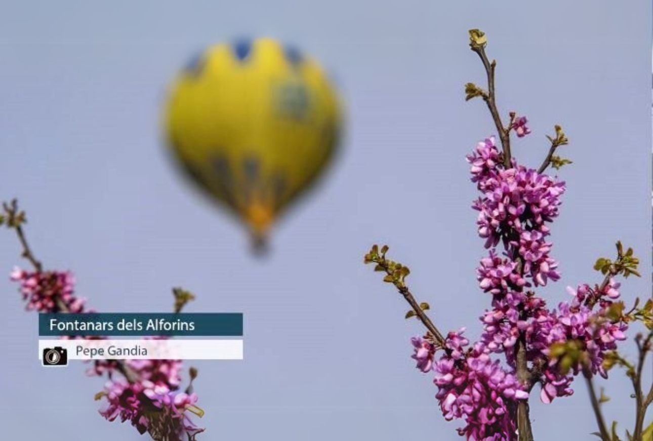 Fontanars dels Alforins - Pepe Gandia