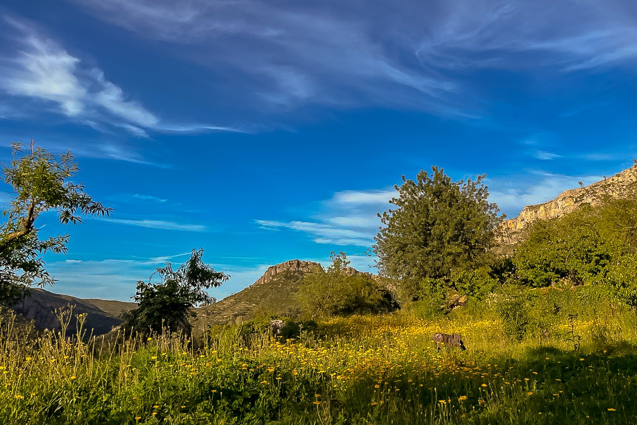 Paisatges de la Marina Alta - MVG
