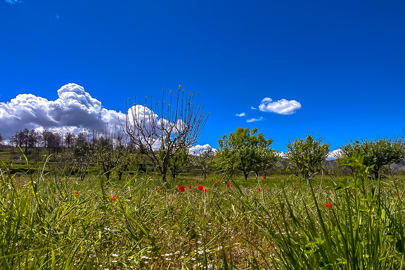 La Vall d'Alcalà (la Marina Alta) | MVG | DLV