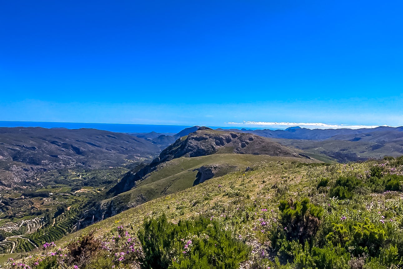 Oratge - Vall de Gallinera (Marina Alta) - MVG