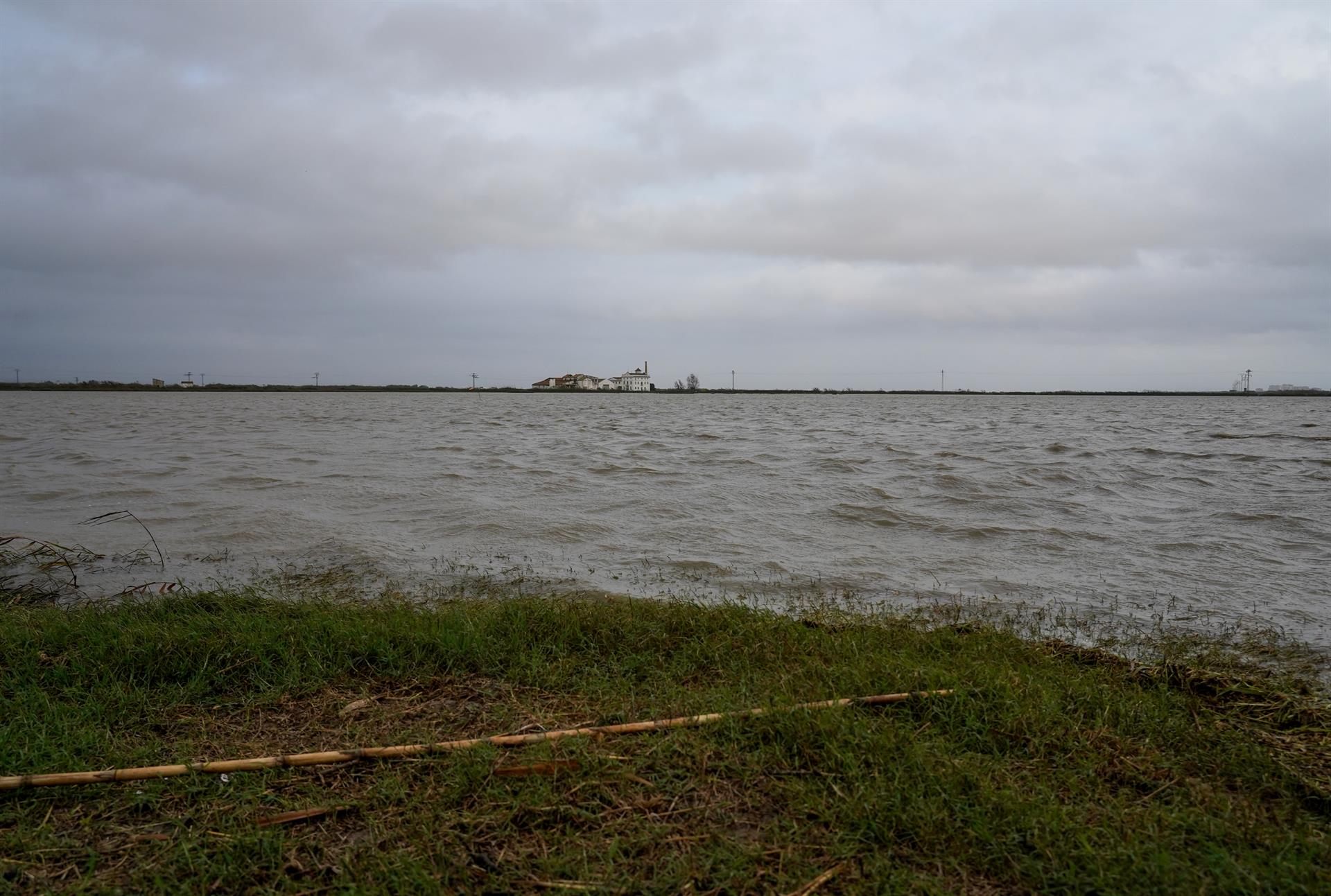 L'Albufera de València | Eduardo Manzana | EP