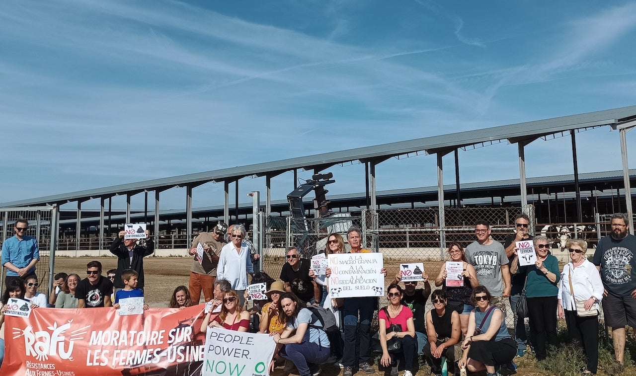 Activistes d'arreu d'Europa protesten contra una macroganja bovina a Bétera