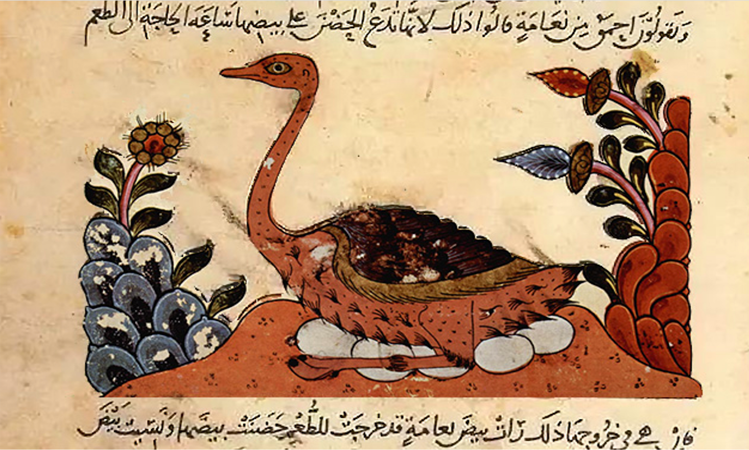 Pàgina del Llibre dels Animals, del naturalista i evolucionista musulmà Al-Jahiz  (segle IX)