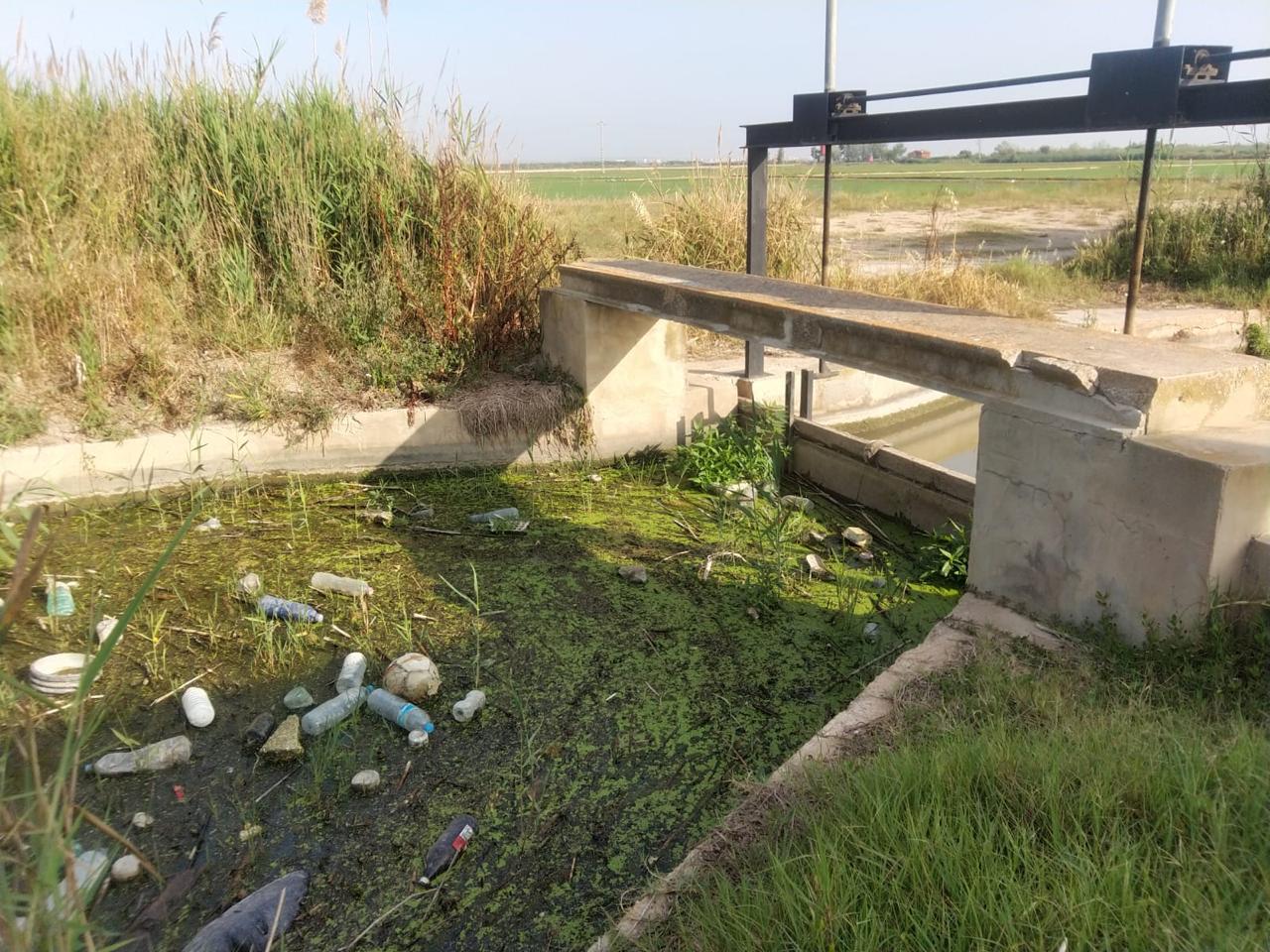 Nou mesos després de la DANA, l'estat de l'Albufera continua sent crític