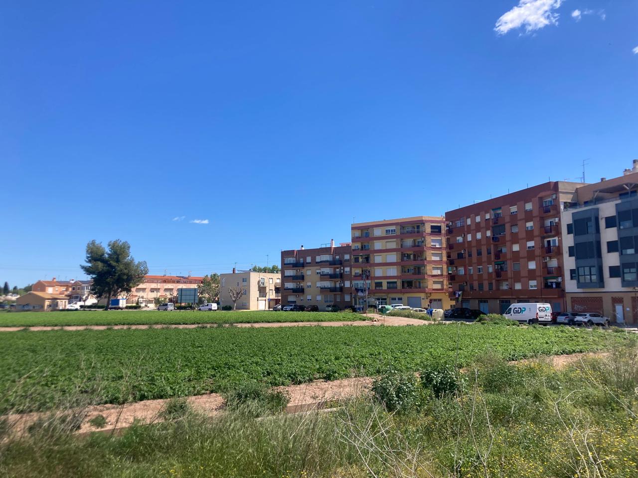 L'Ajuntament de Vinalsea pretén autoritzar un PAI sobre 50.000 m2 d'horta productiva
