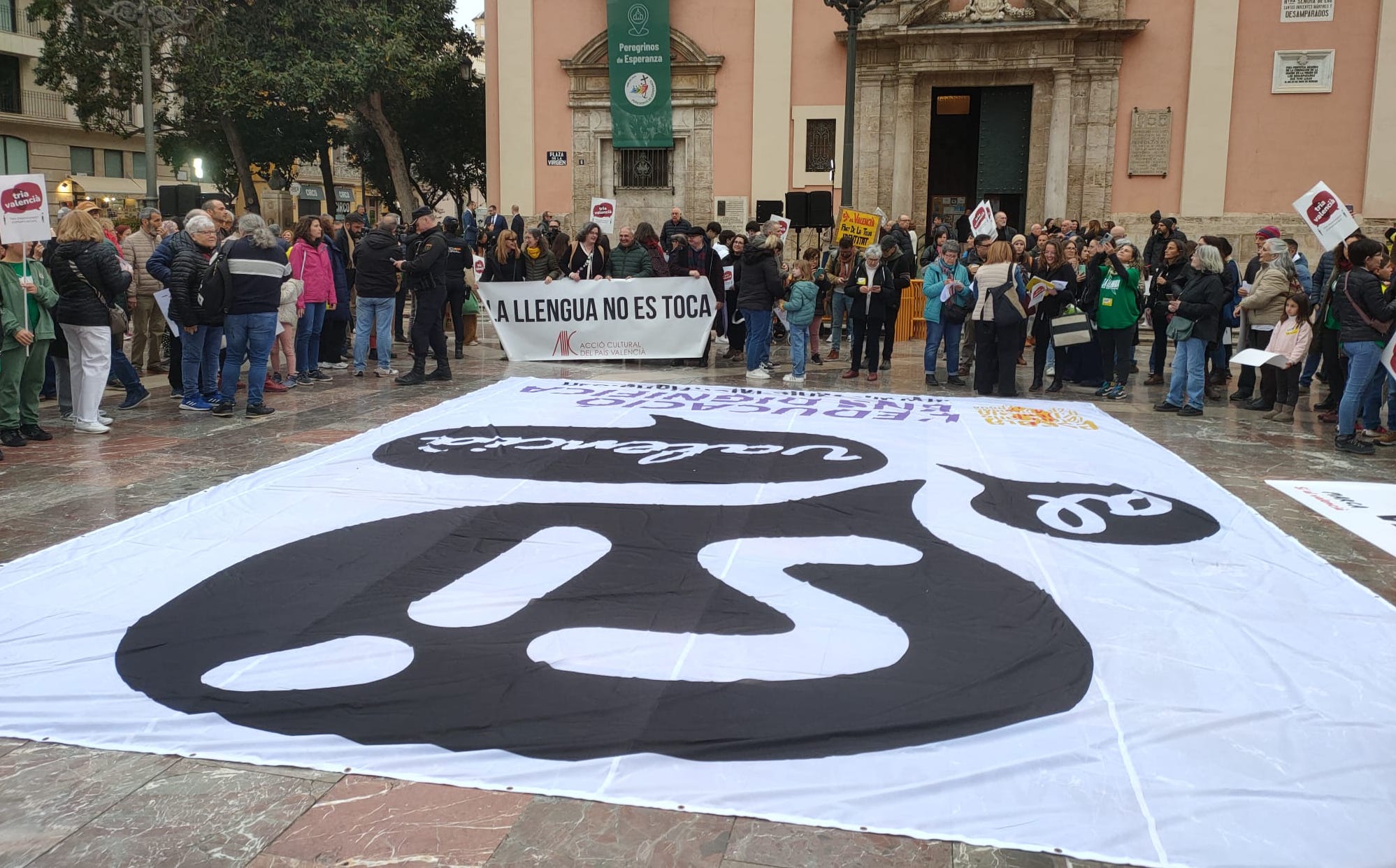 Manifestació a favor del valencià