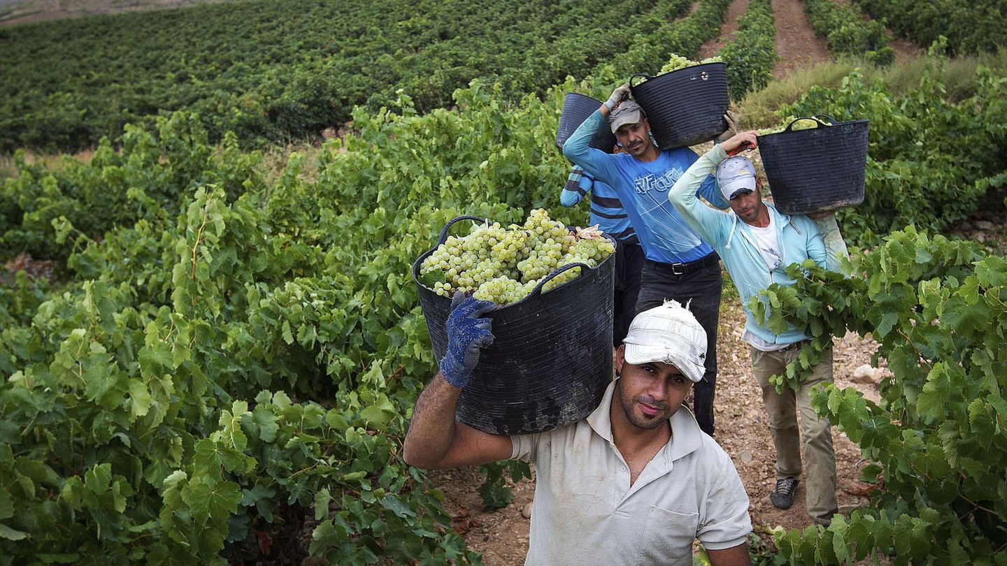 Immigrants veremant