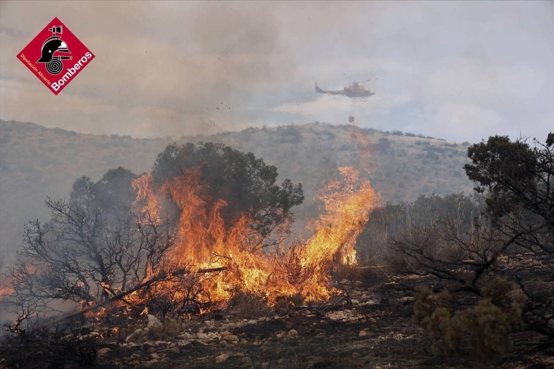 Incendi forestal declarat a Ibi