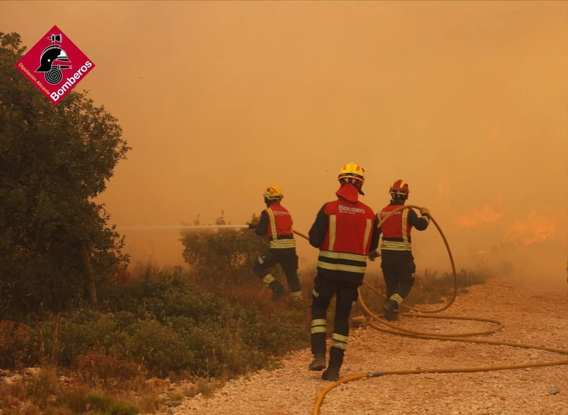 Incendi forestal declarat a Ibi