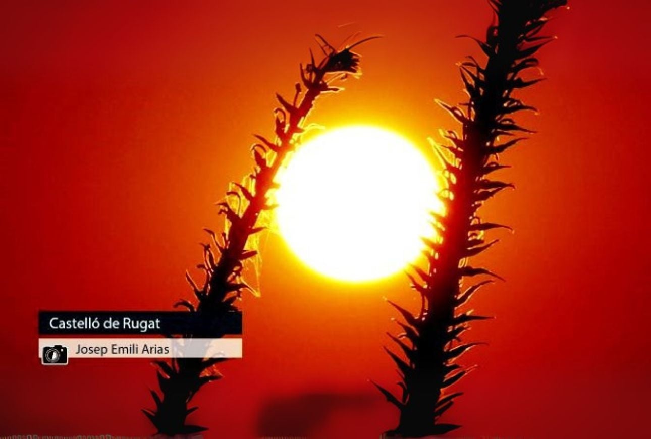Castelló de Rugat - Josep Emilí Arias