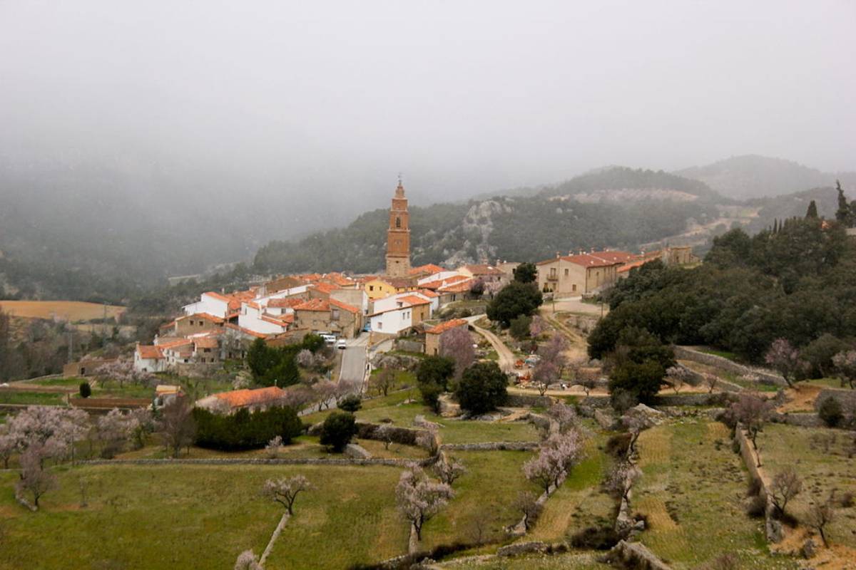 Les pràctiques i béns comunals són estructurals en la cultura rural