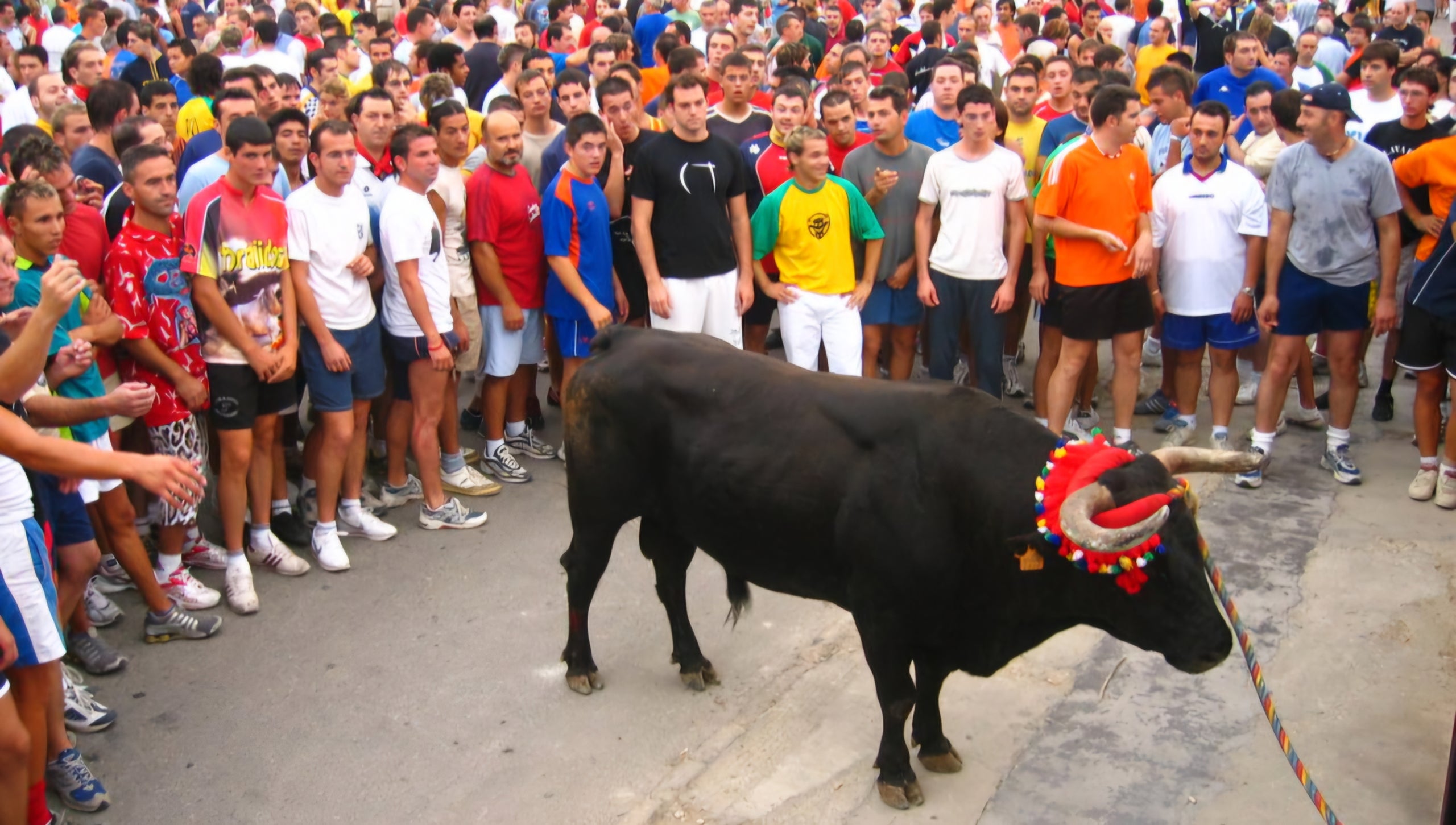El torico de la corda Xiva