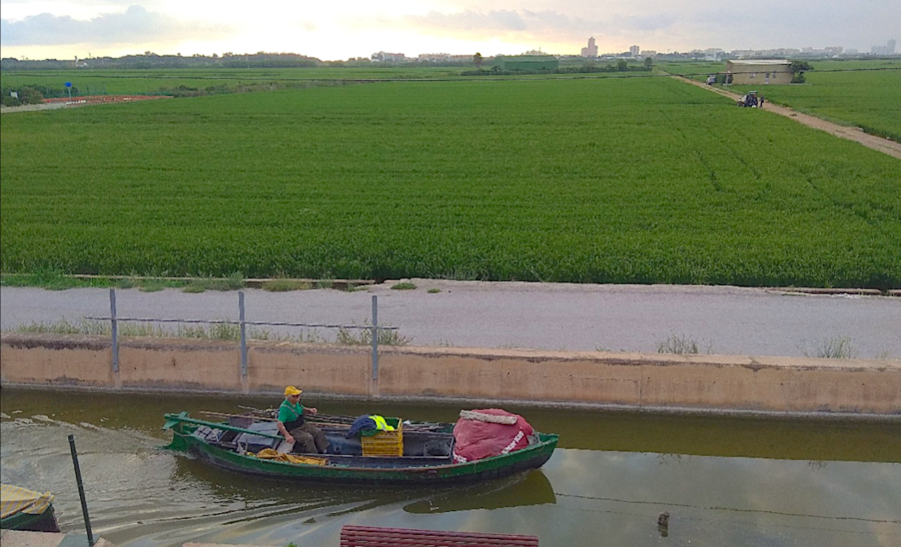 Canal, barca i marjal. Al fons, el Perellonet. El Palmar, València (l’Horta) | Maria Amparo Ibáñez Barberá
