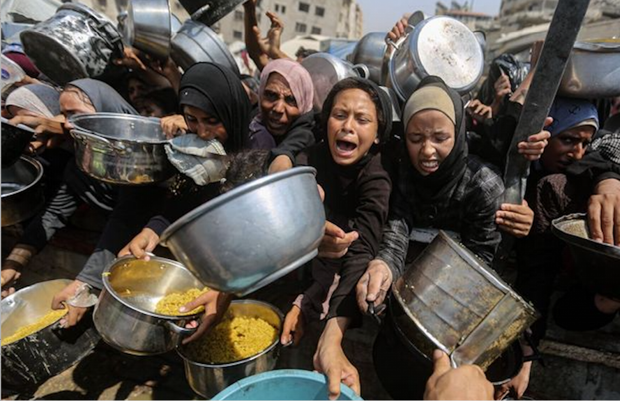 Desplaçats a Gaza lluiten per aconseguir menjar | EP