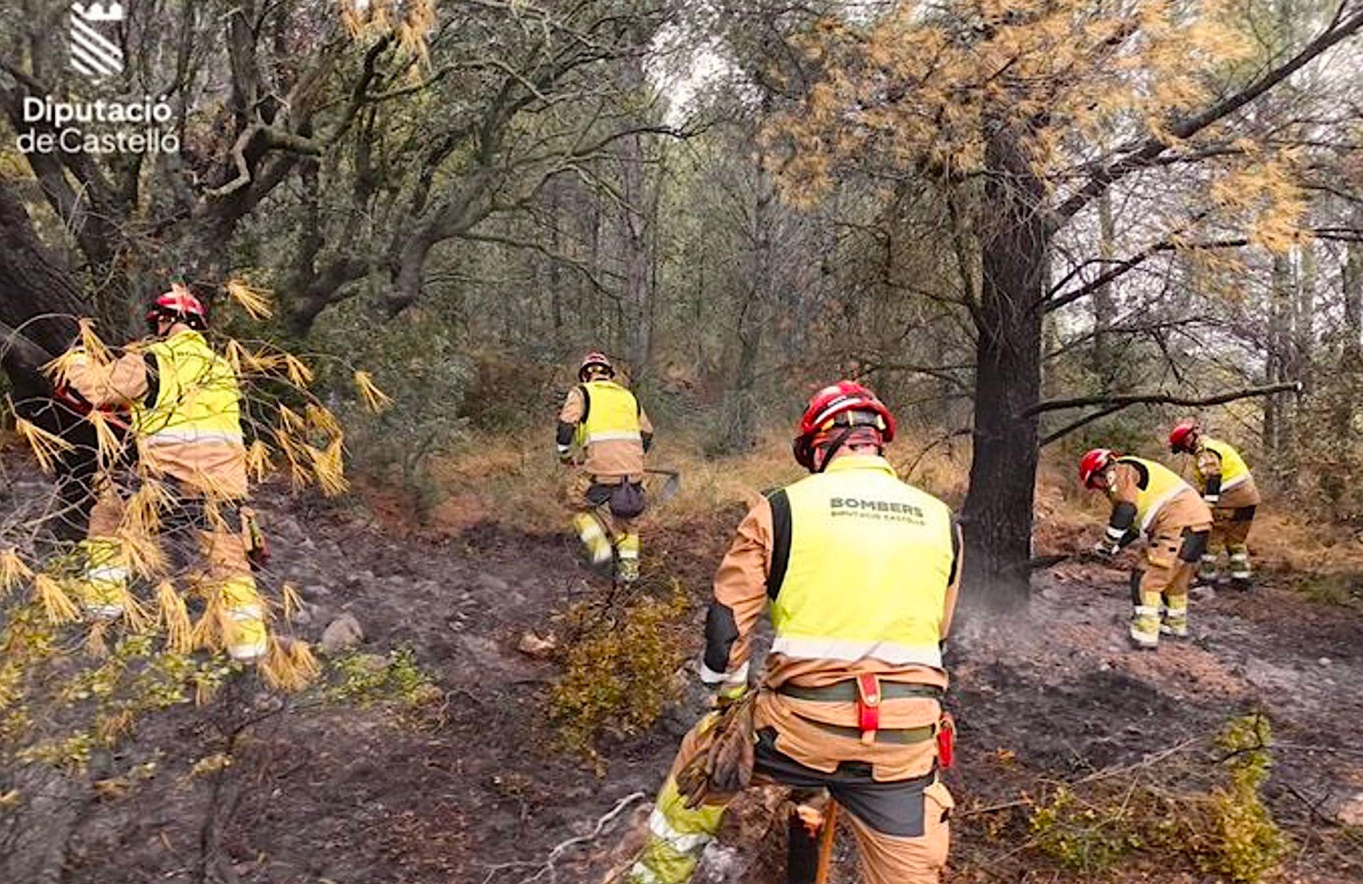 Efectius del Consorci de Bombers de Castelló treballant en l'extinció d'un incendi forestal