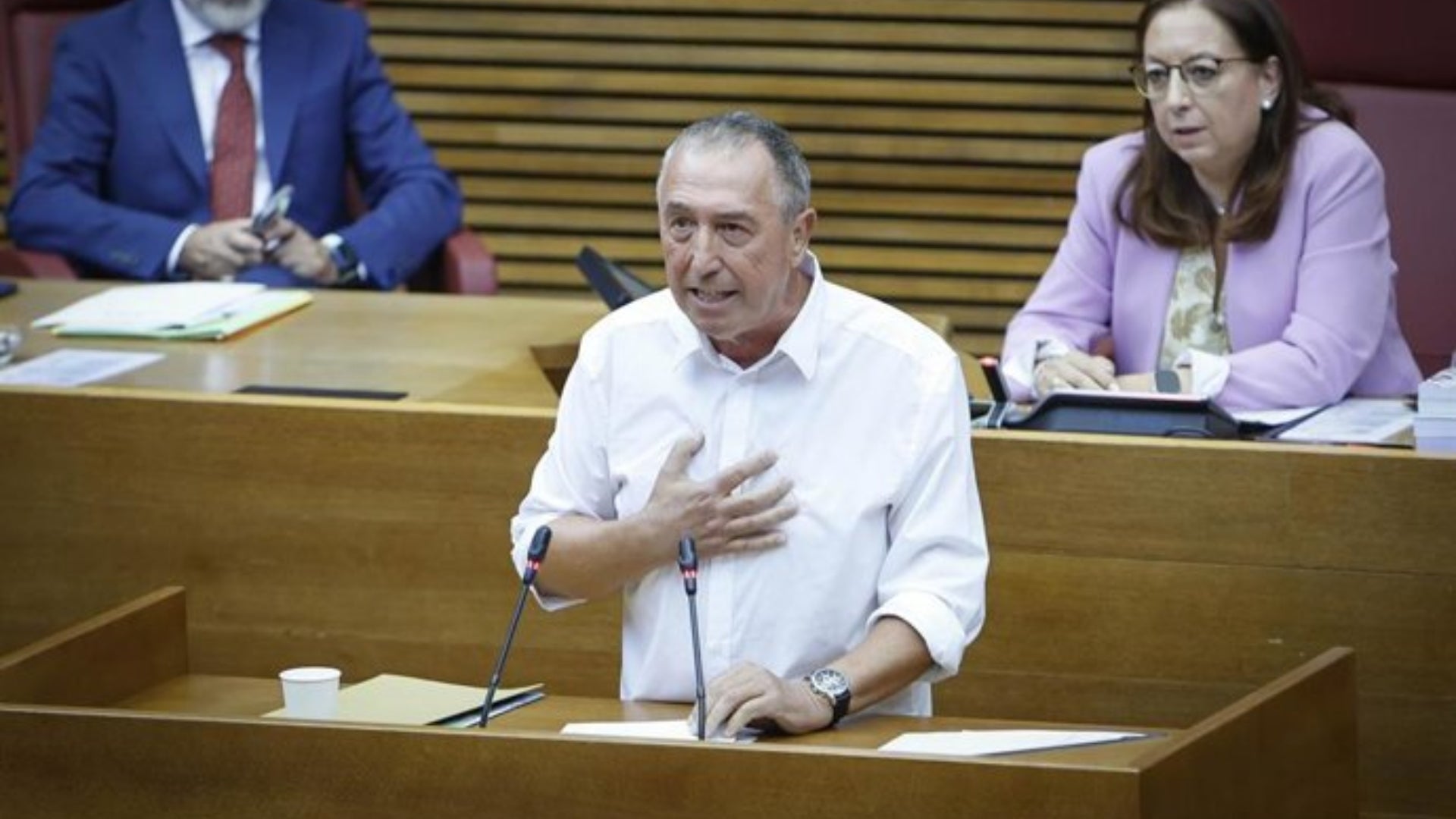 Baldoví porta 50 propostes al debat sobre política general a les Corts. Europa Press.