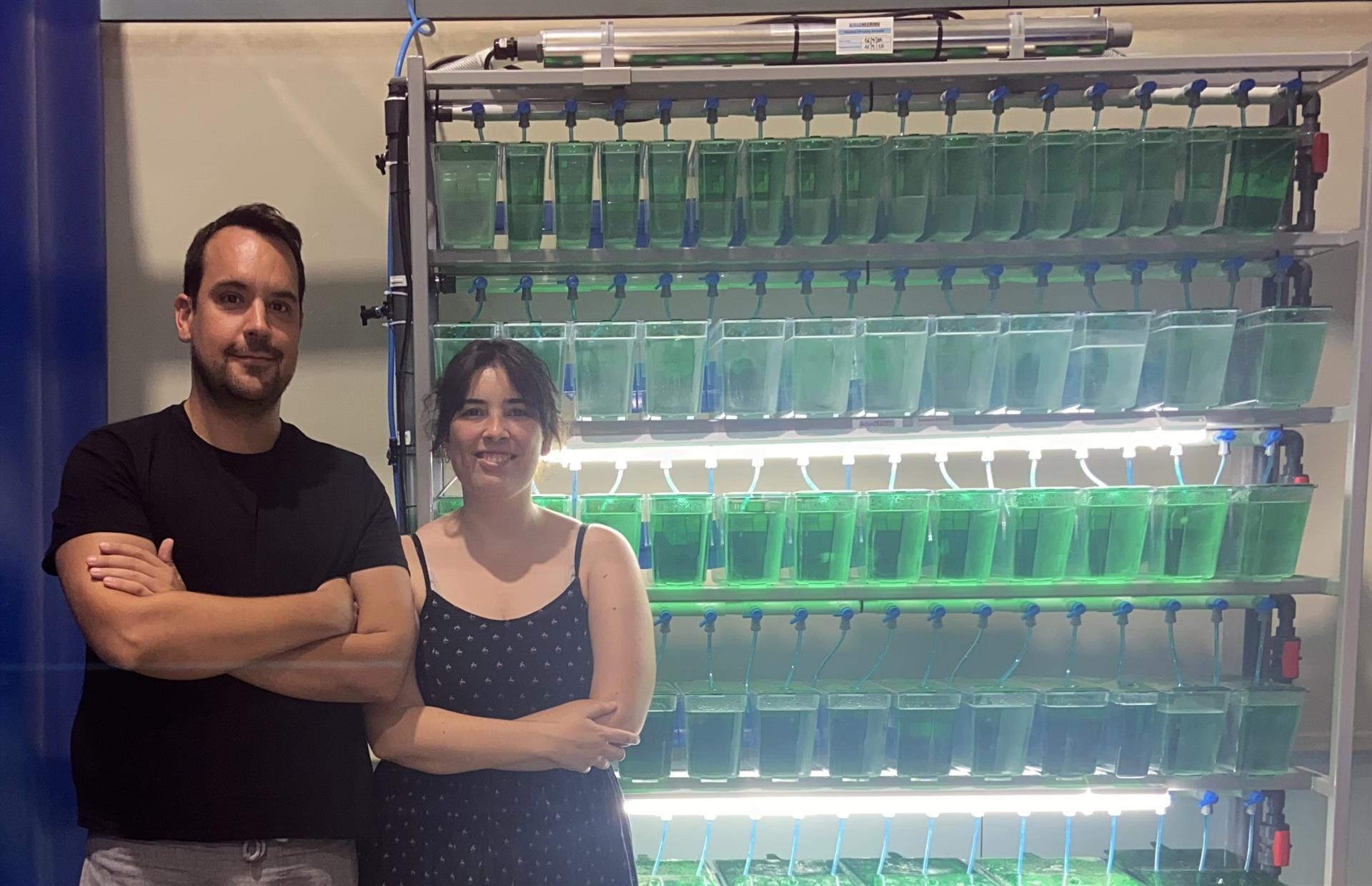 Jose V. Torres Pérez i María Abellán Álvaro davant dels aquaris  de peix zebra de la UV | EP