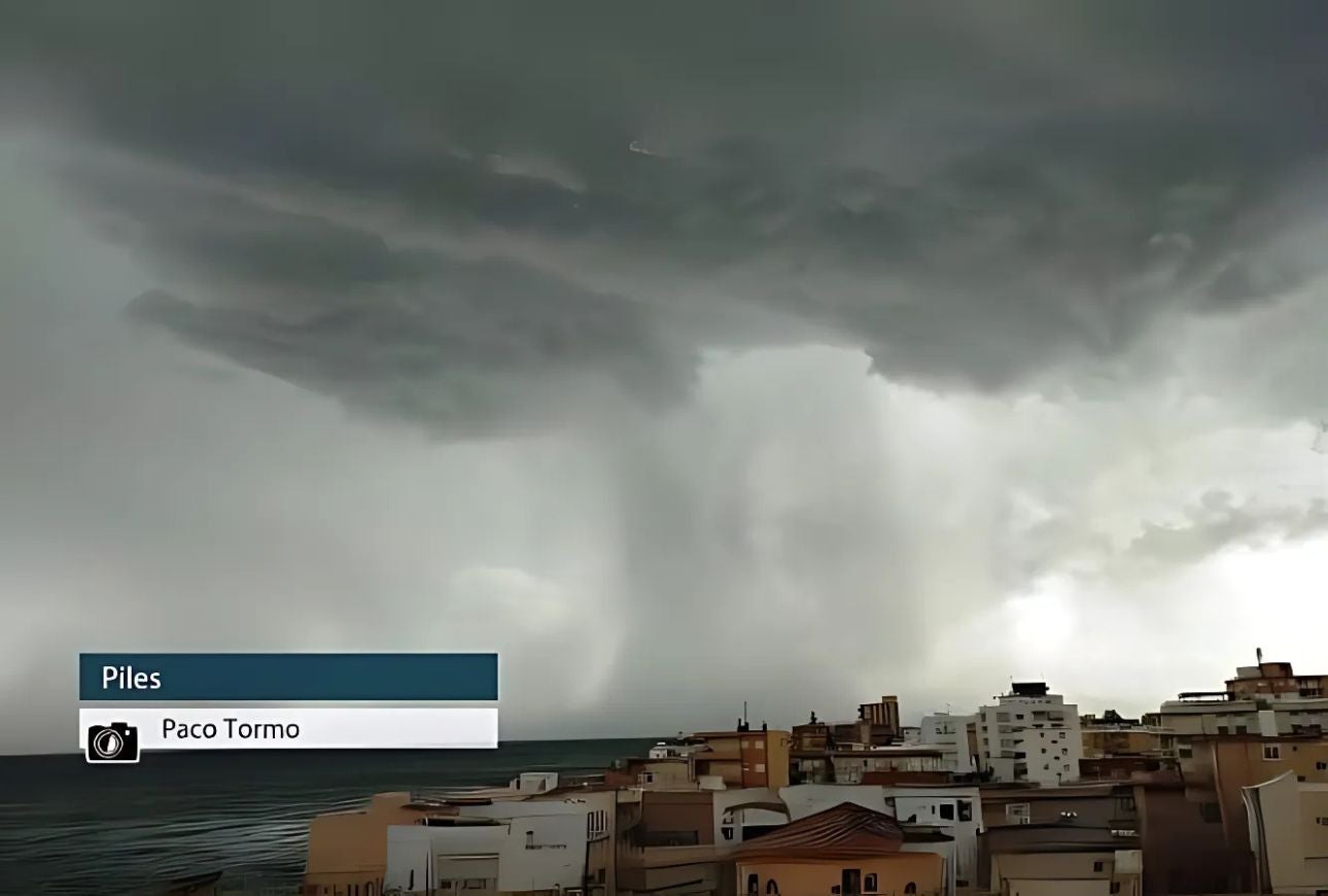 Piles - Paco Tormo