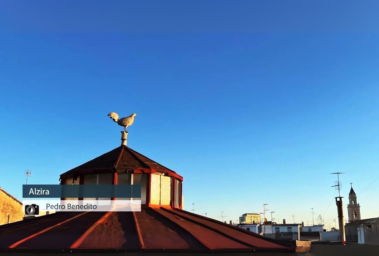 Alzira - Pedro Benedito