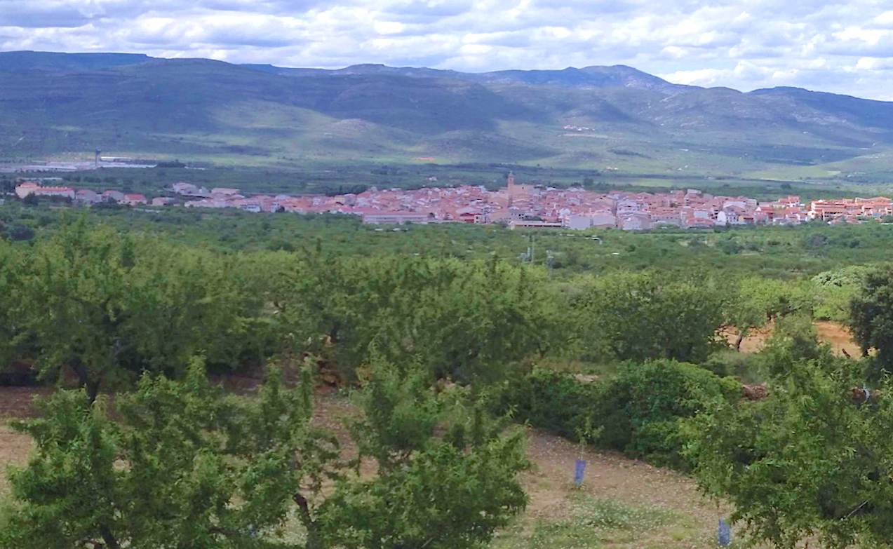 Ametlers, Albocàsser i el tossal de la Nevera | 
Evarist Monfort Guimerà