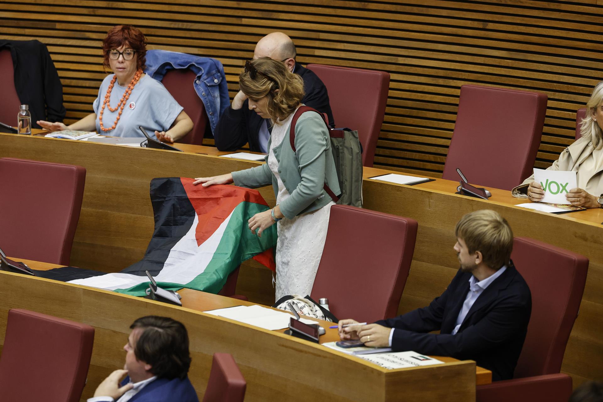 La diputada de Compromís Paula Espinosa posa una bandera palestina a Les Corts |  Rober Solsona | EP