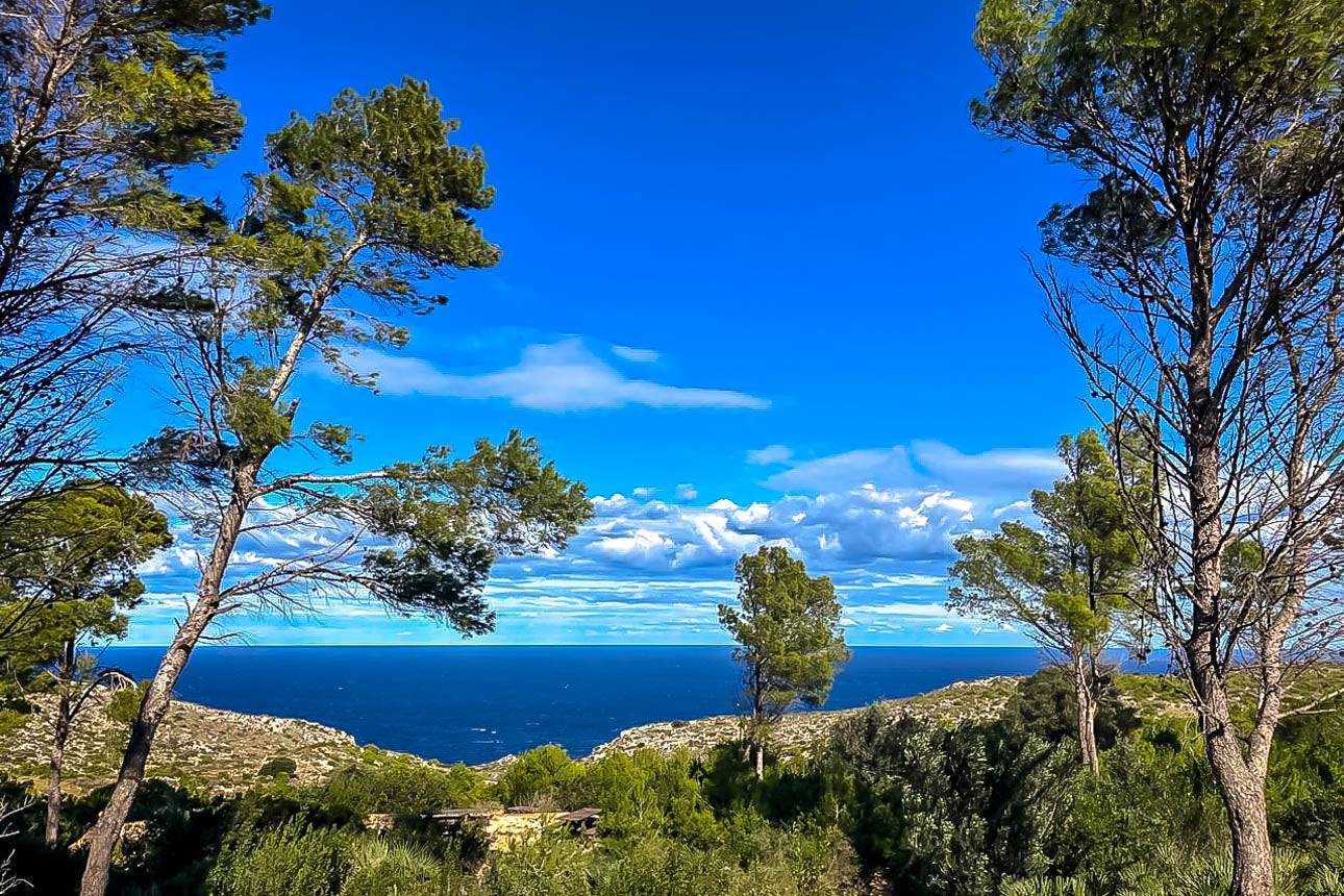 El Montgó - Moisès Vizcaino