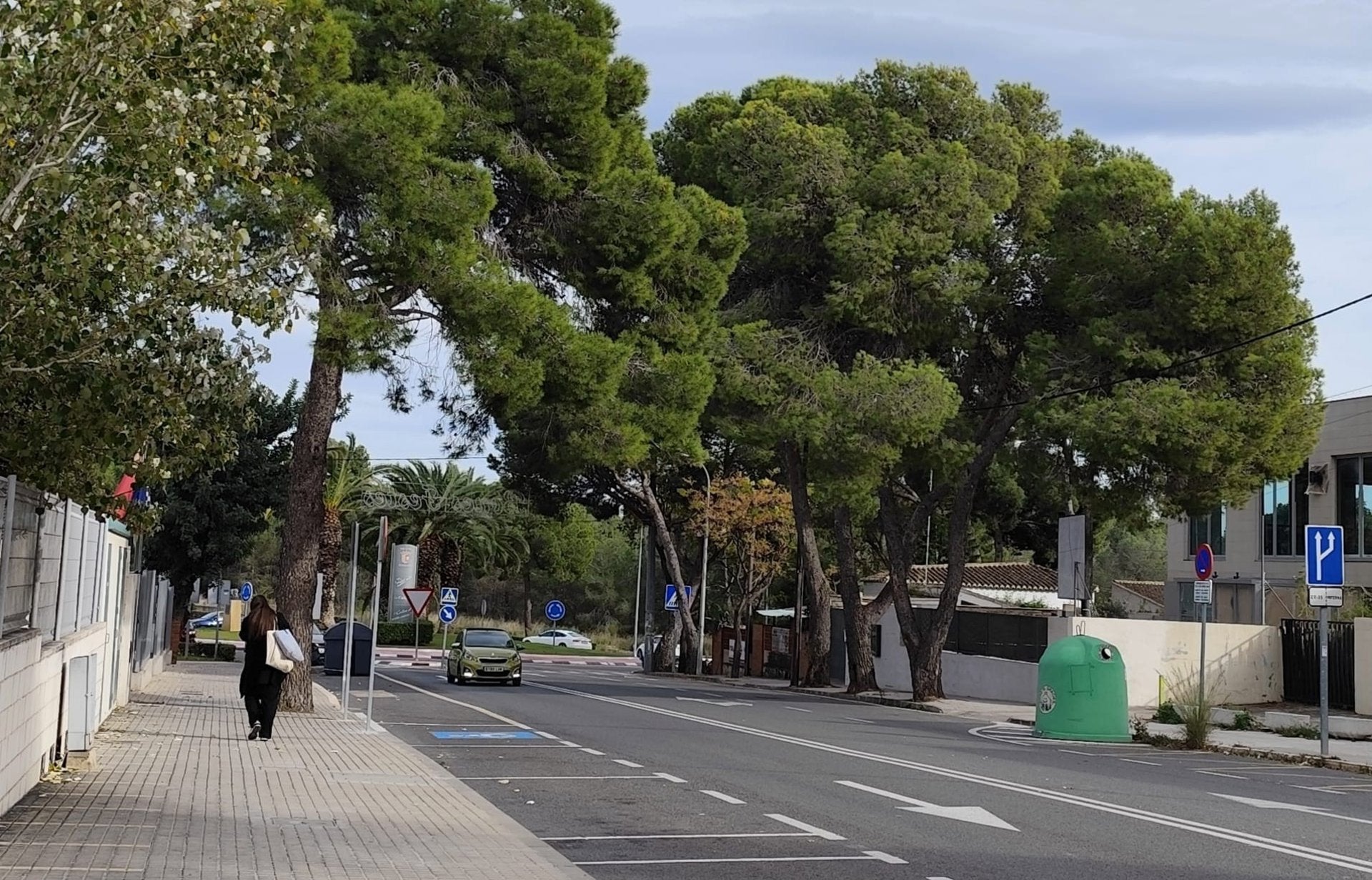 Pins a la Canyada, Paterna
