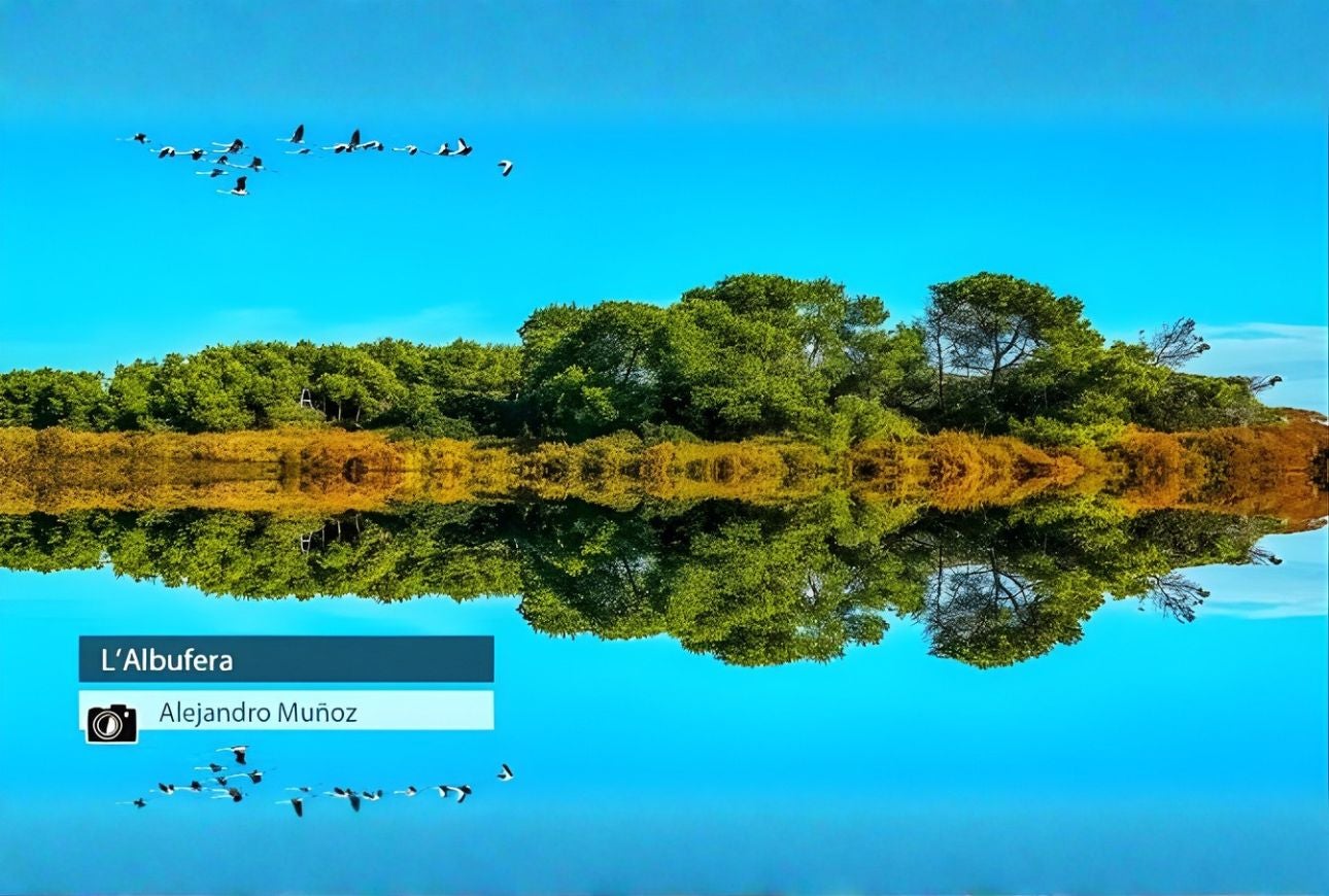 l'Albufera - Alejandro Muñoz