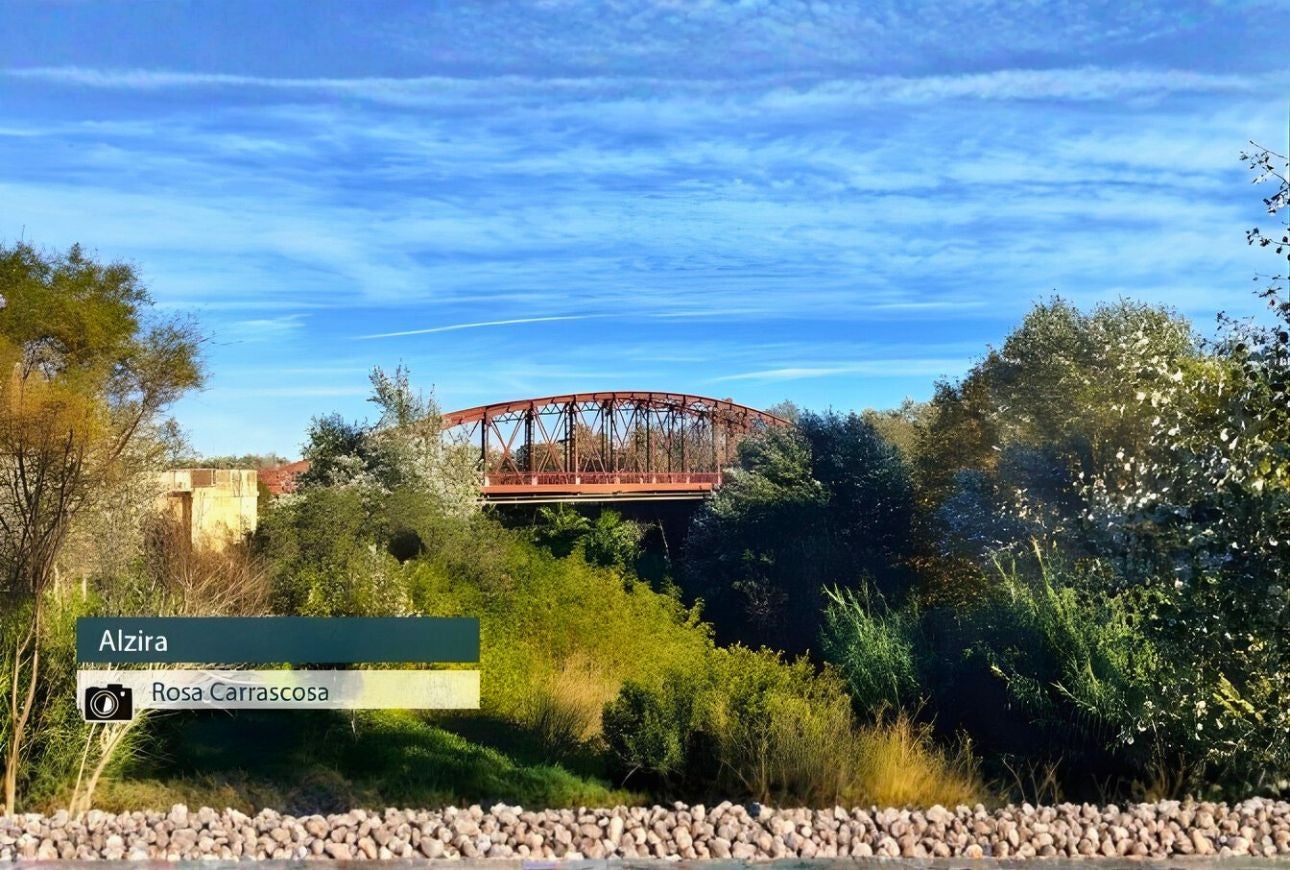 Alzira - Rosa Carrascosa