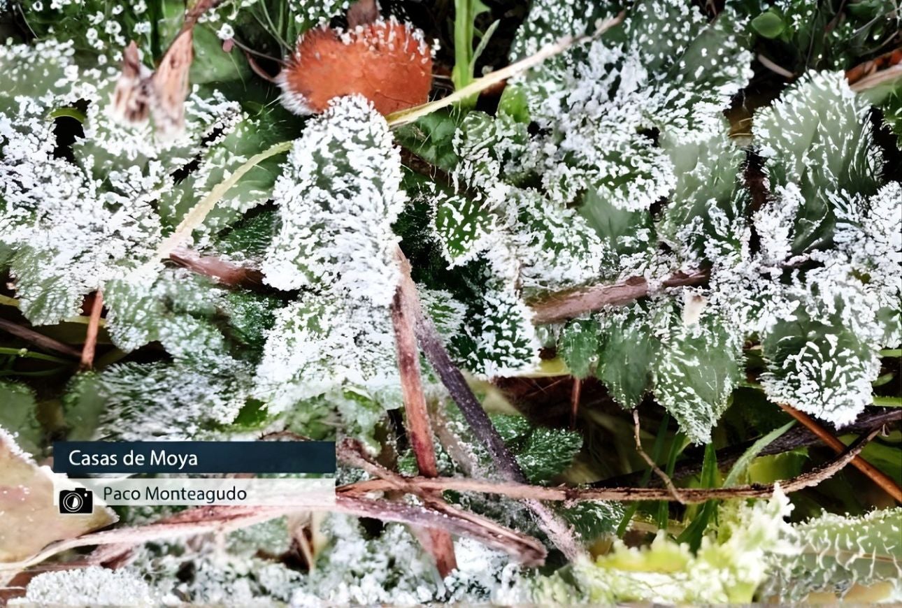 Casas de Moya - Paco Monteagudo