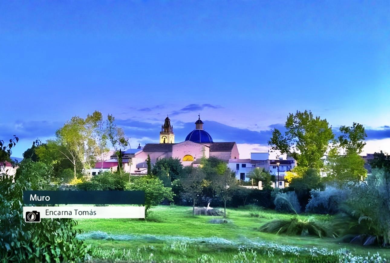 Muro - Encarna Tomás