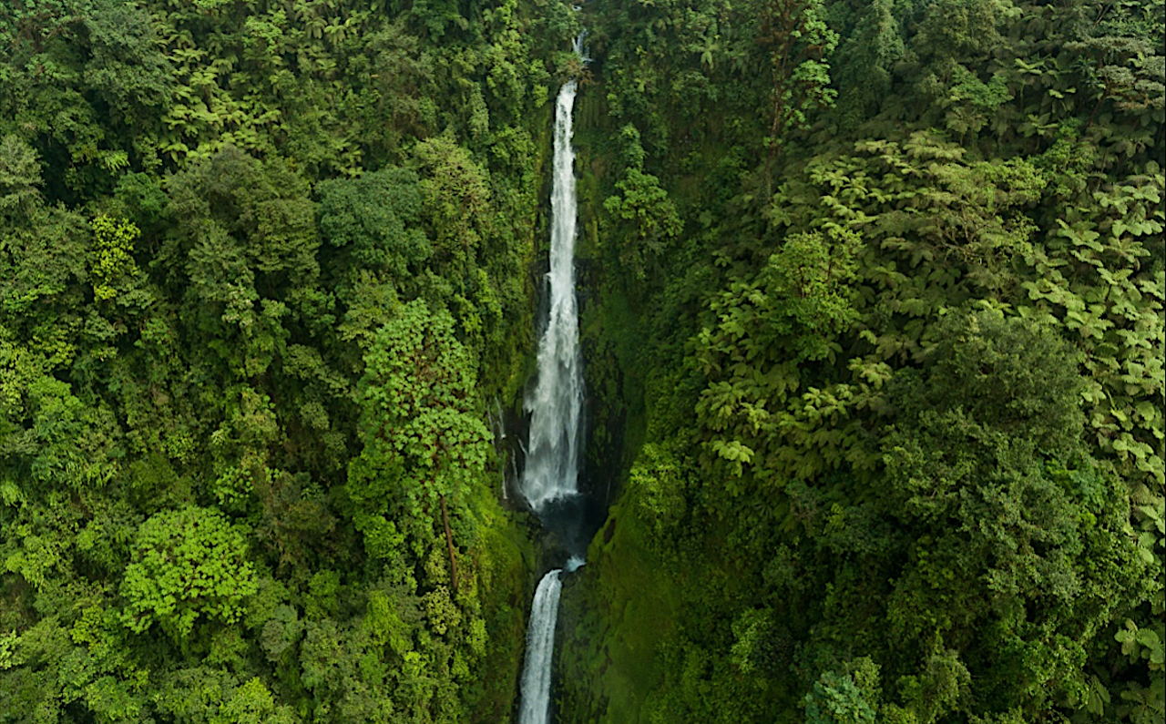 Cascada a Guinea Equatorial | Jan Ziegler | Shutterstock. | Cedida per Visualgràfic, Algemesí (la Ribera Alta)