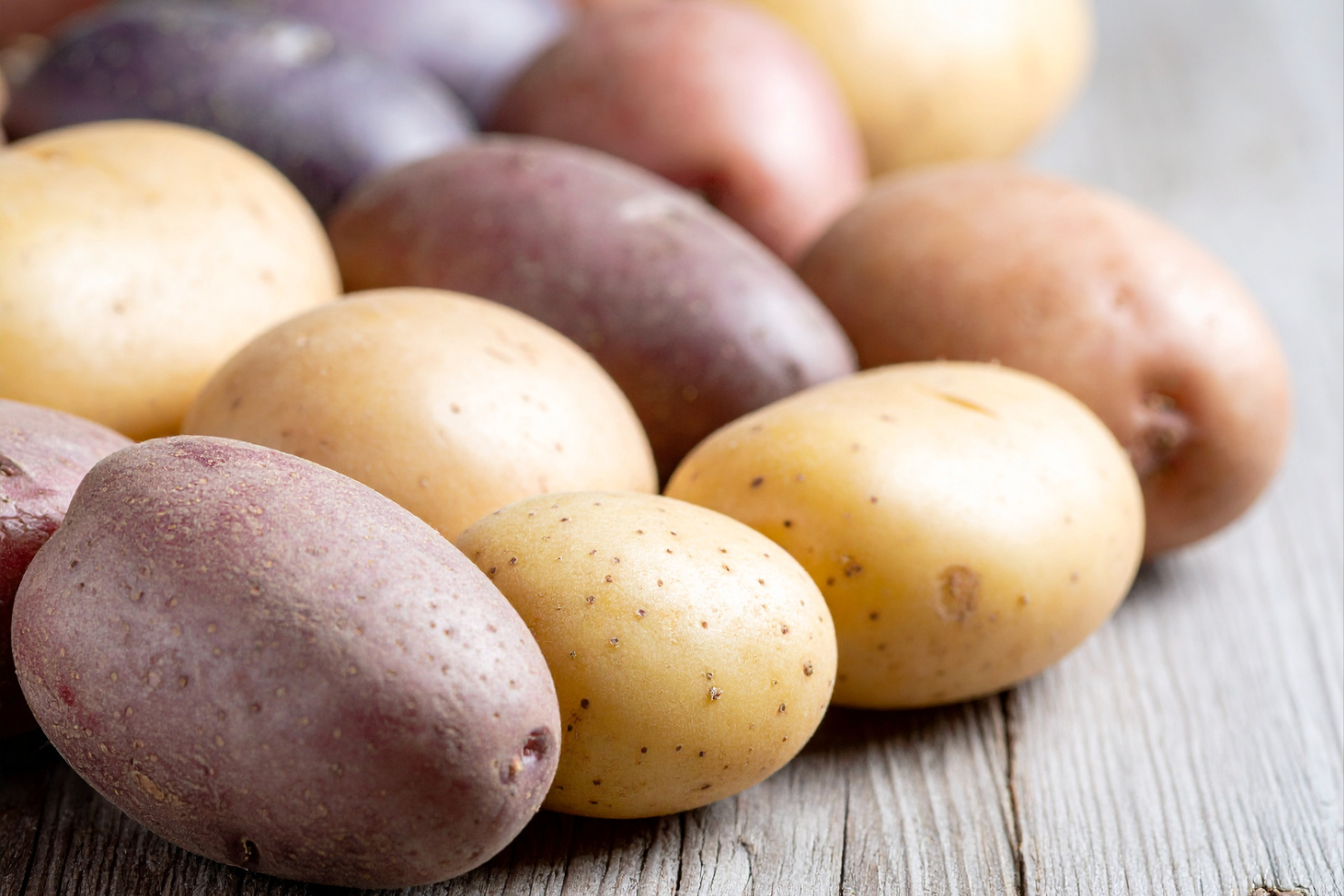 Diverses varietats de creïlles