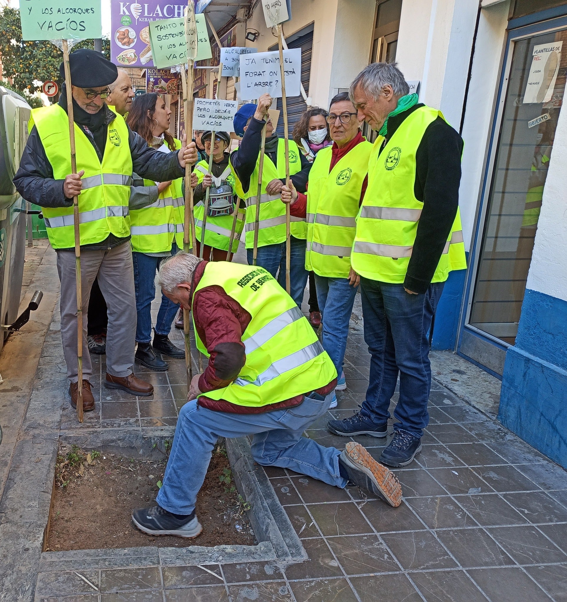 Veïns de Benimaclet denuncien la manca d'arbres en un centenar d'escocells del barri