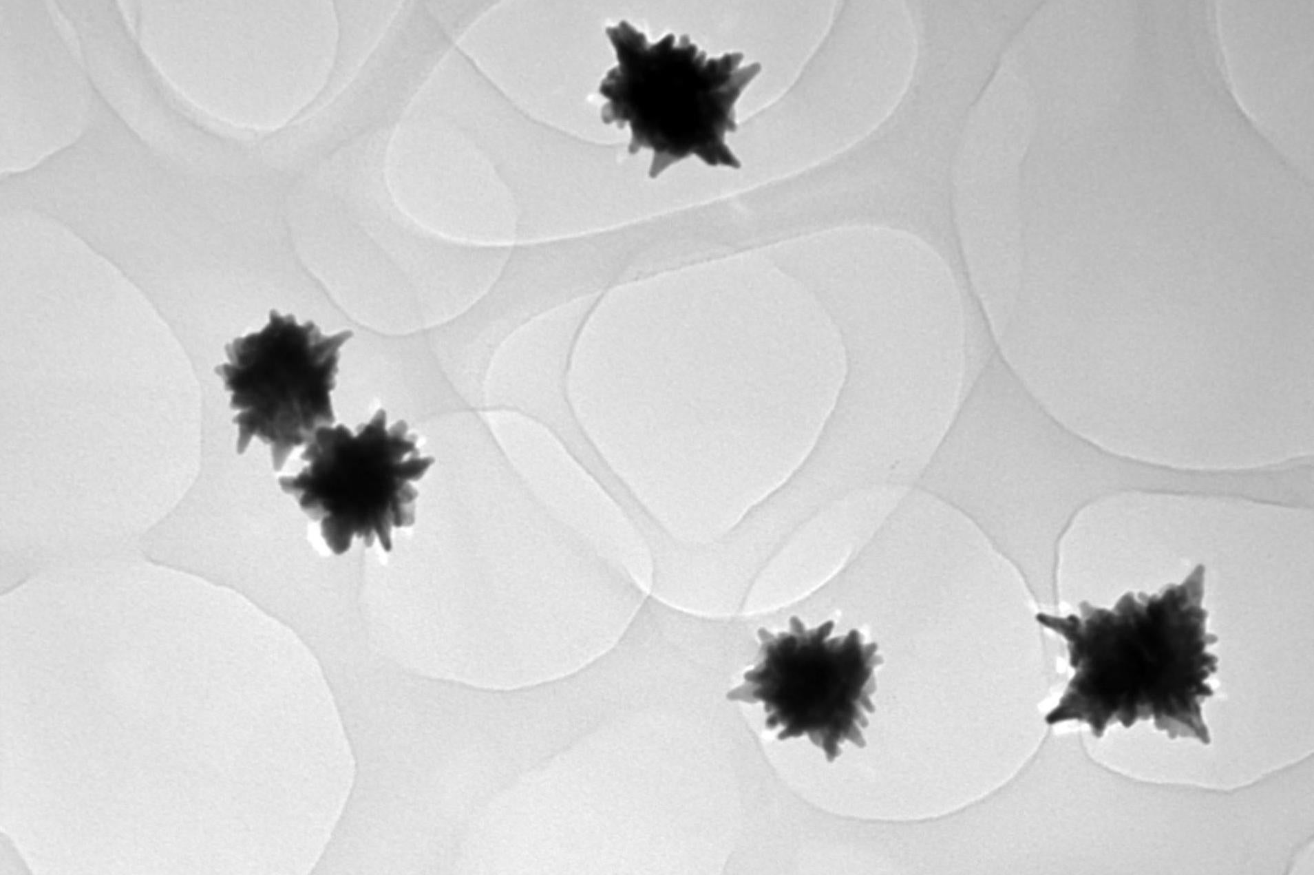 Nanoestrelles d'or | UPV