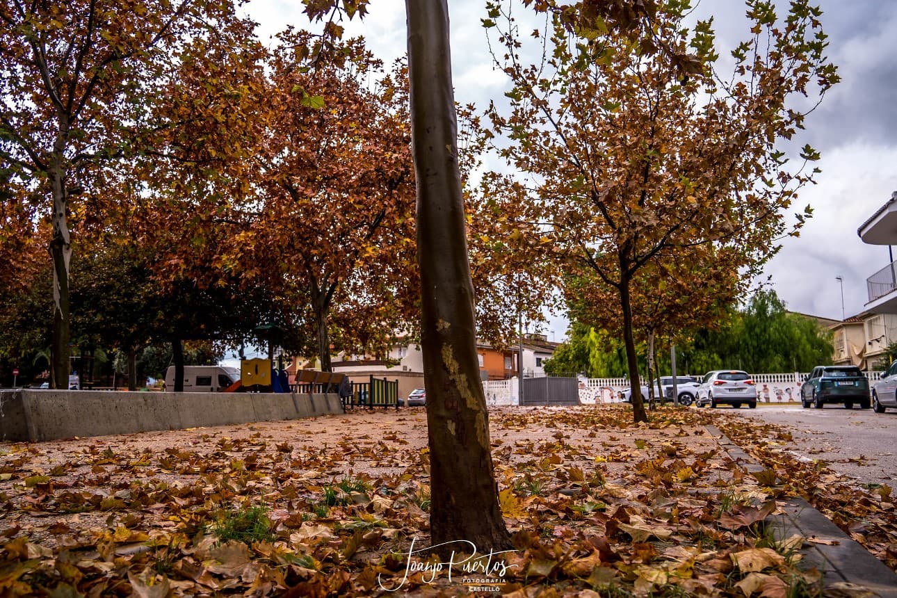 Castelló - Ribera Alta - JJPM