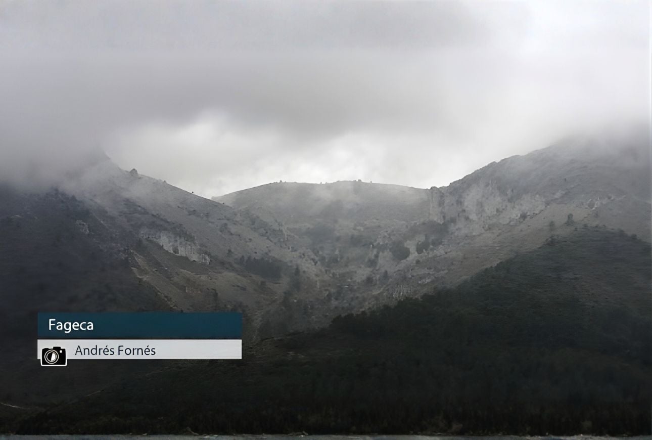 Fageca - Andrés Fornés