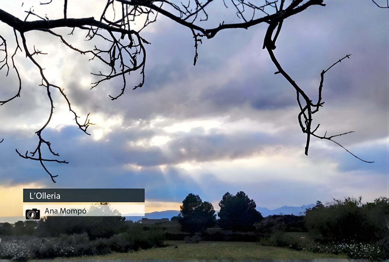 L'Olleria - Ana Mompó