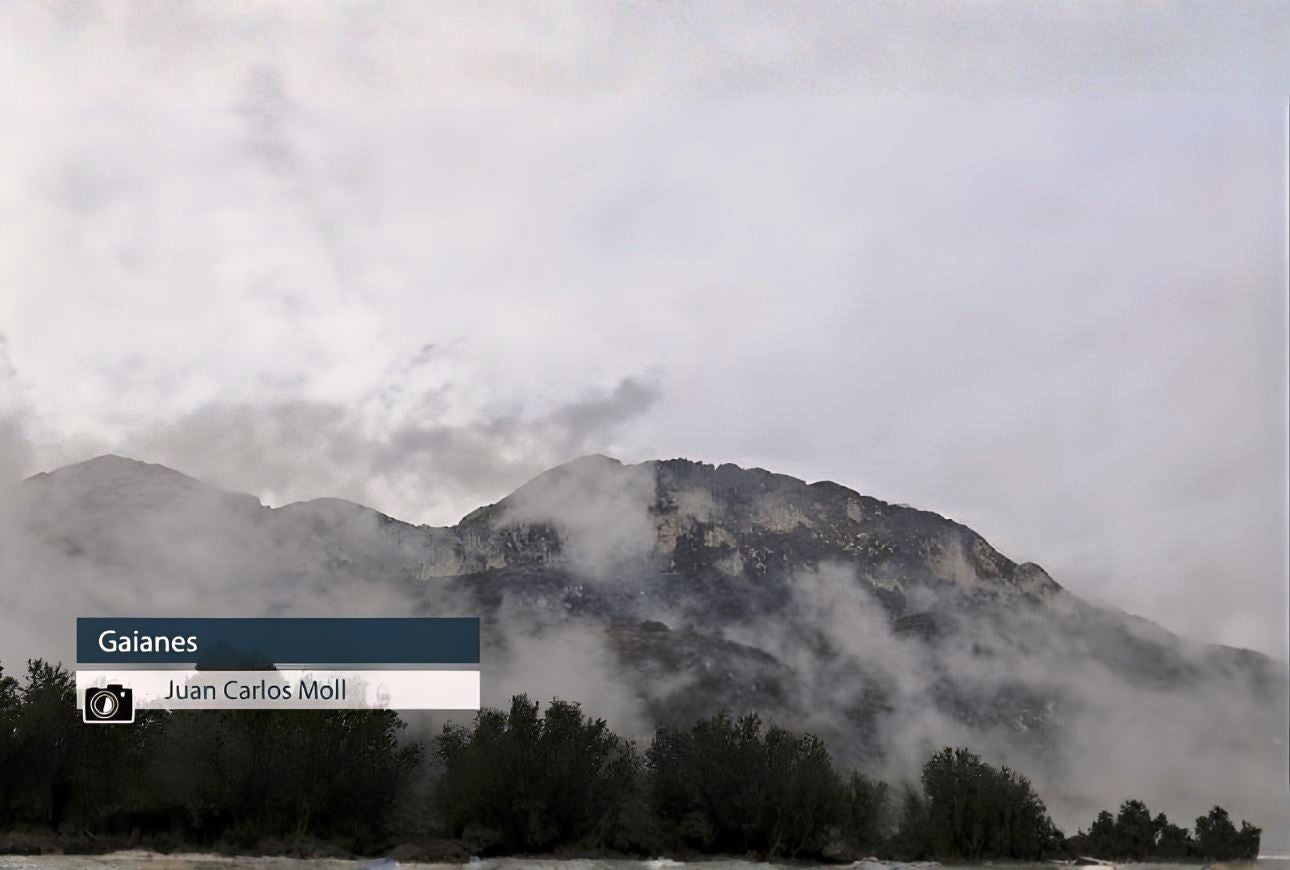 Gaianes - Juan Carlos Moll