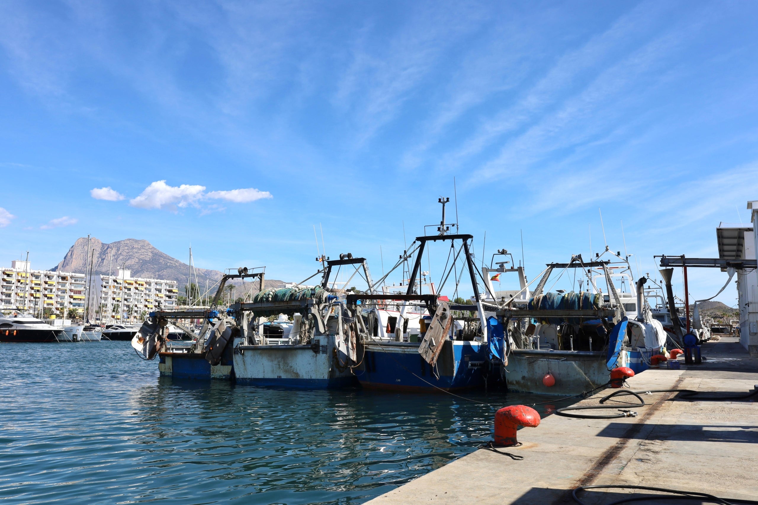 El port pesquer de la Vila Joiosa està entre els 10 que més tones recull del País Valencià. CPV