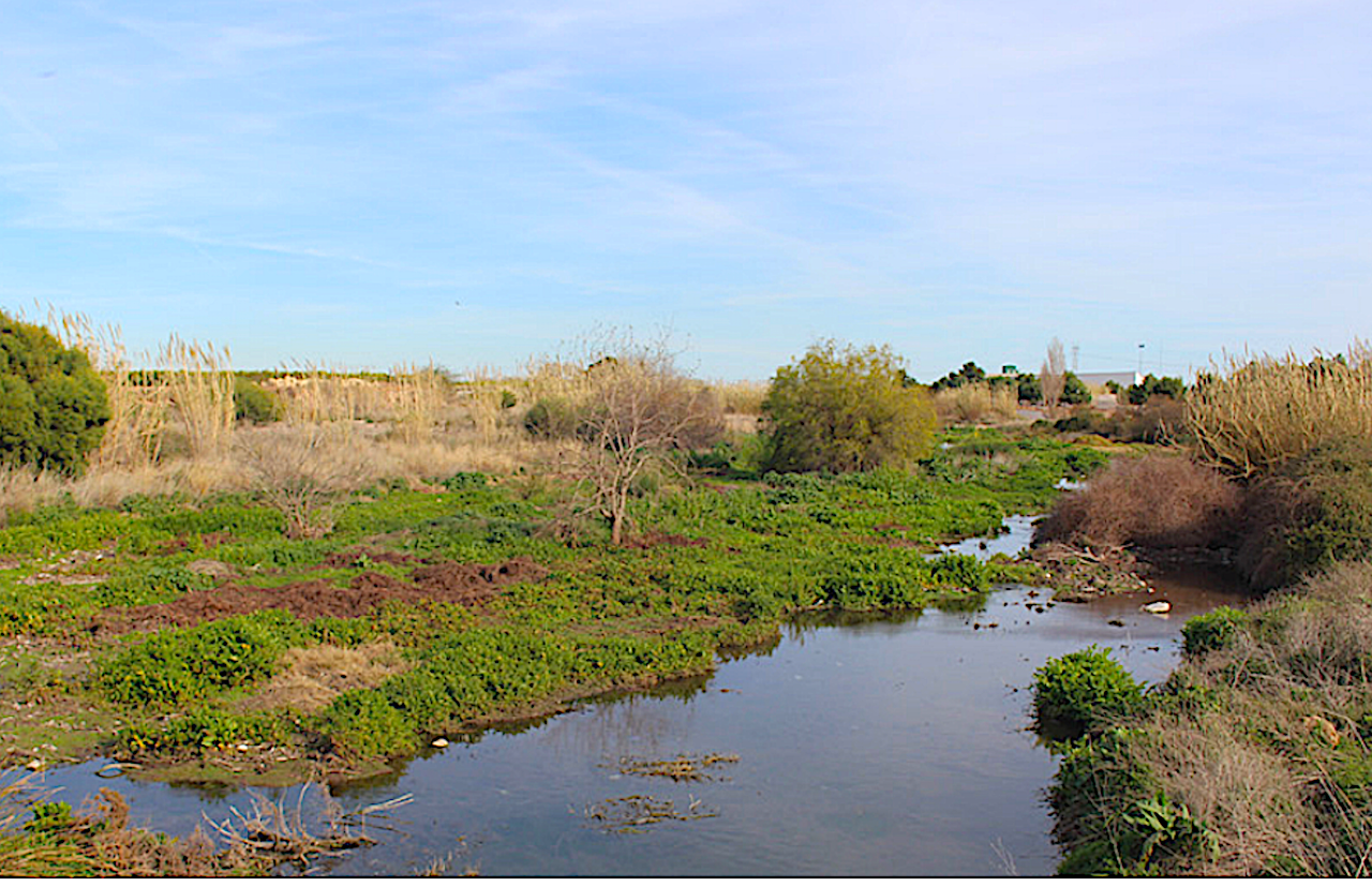 Barranc del Carraixet